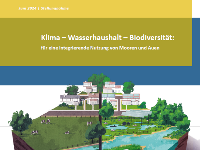 Juni 2024 | Stellungnahme Klima – Wasserhaushalt – Biodiversität: für eine integrierende Nutzung von Mooren und Auen