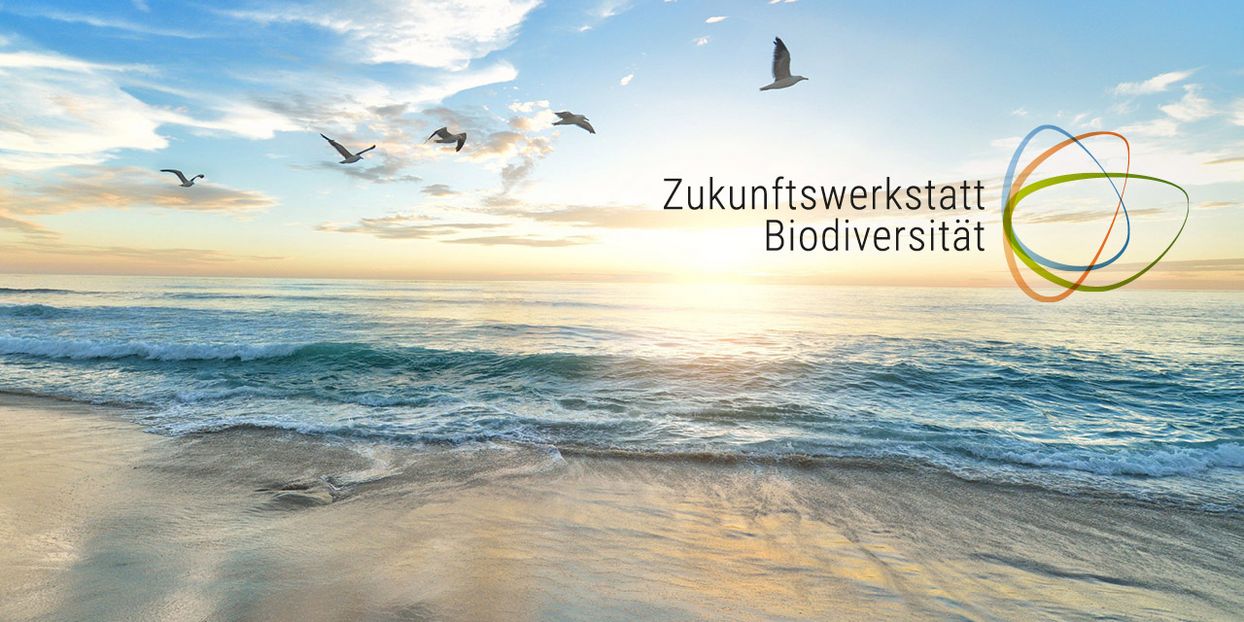 Headerbild