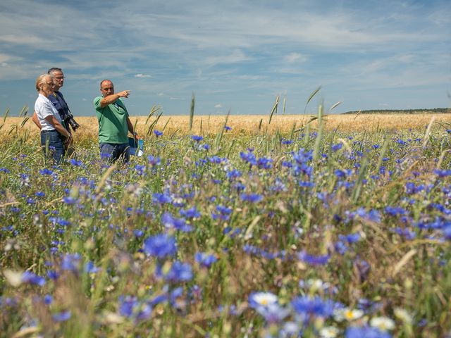 © K. Karkow. Three people are standing in a field on the left side of the picture. One man is showing something to the other persons to the right. in the background cereals in the foreground blue blossoms