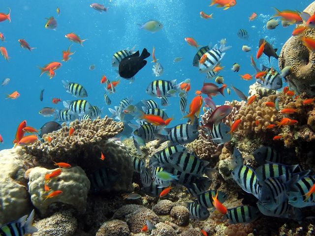 Copyright: visavietnam /pixabay Copyright: visavietnam /pixabay
