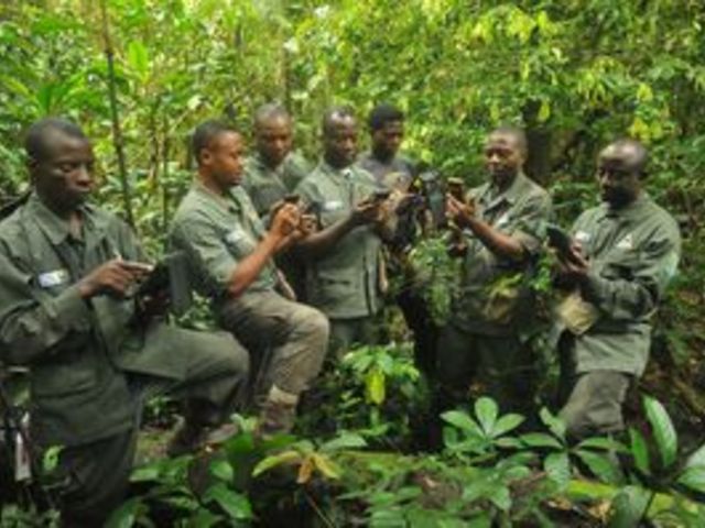 7 Ranger stehen im Halbkreis in grünen Ranger-Uniformen im Regenwald und schauen jeweils auf ihr digitales Gerät in der Hand.