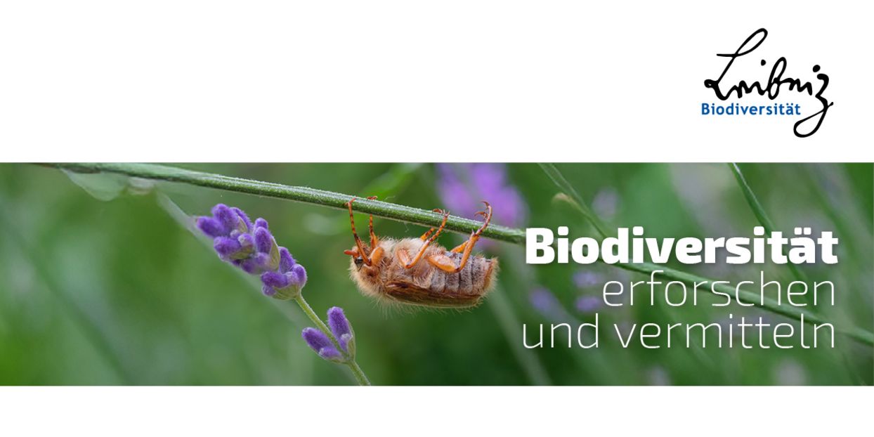 Headerbild