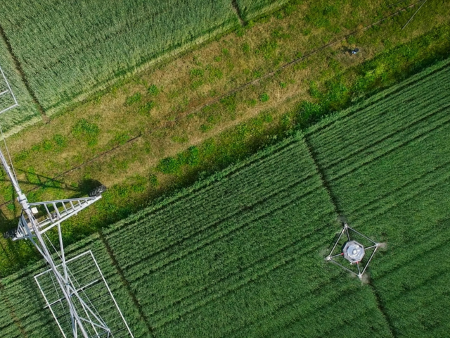 Drohne fliegt über landwirtschaftlich genutztes Feld