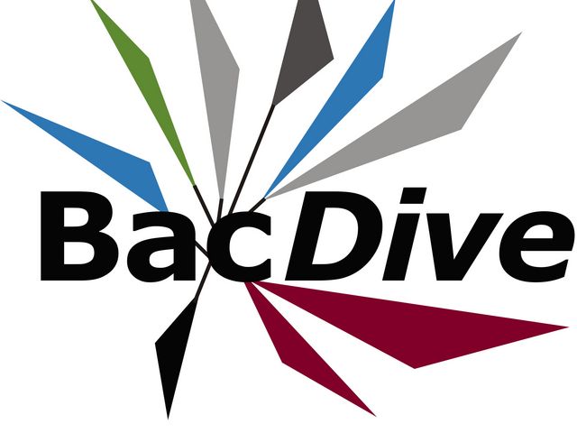 Logo der Datenbank BadDive